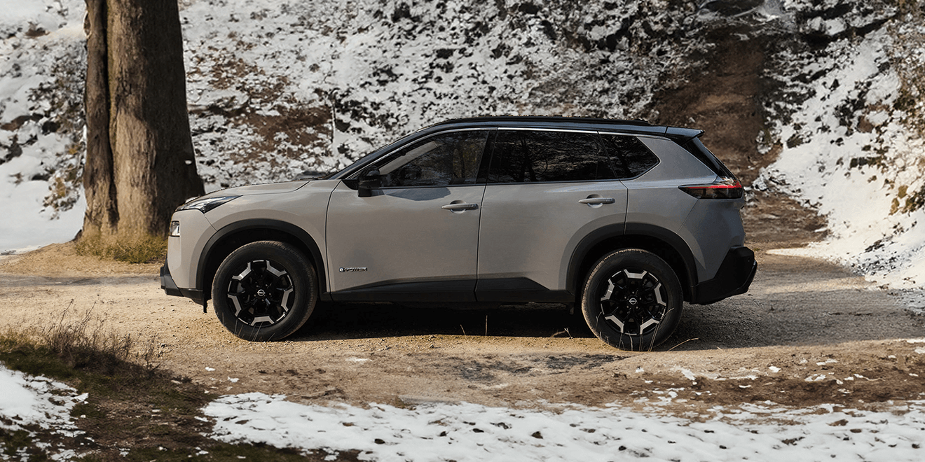 Nissan Wintercheck