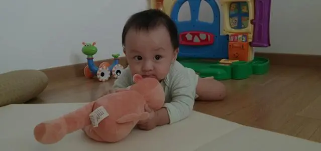 Tips for Everyday Learning 