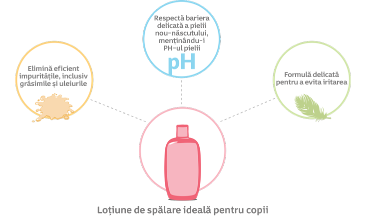 infographic-inset 1