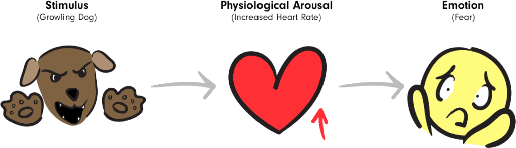 James-Lange-Theory-of-Emotion-1024x295