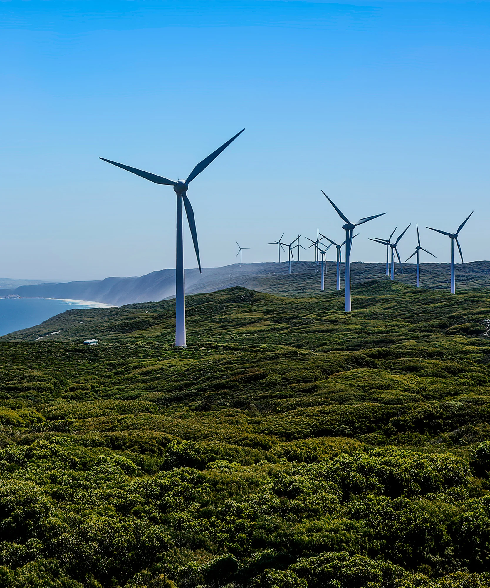 A coastal wind farm