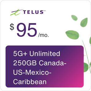 $95 250GB CAN-US-MEX-CAR