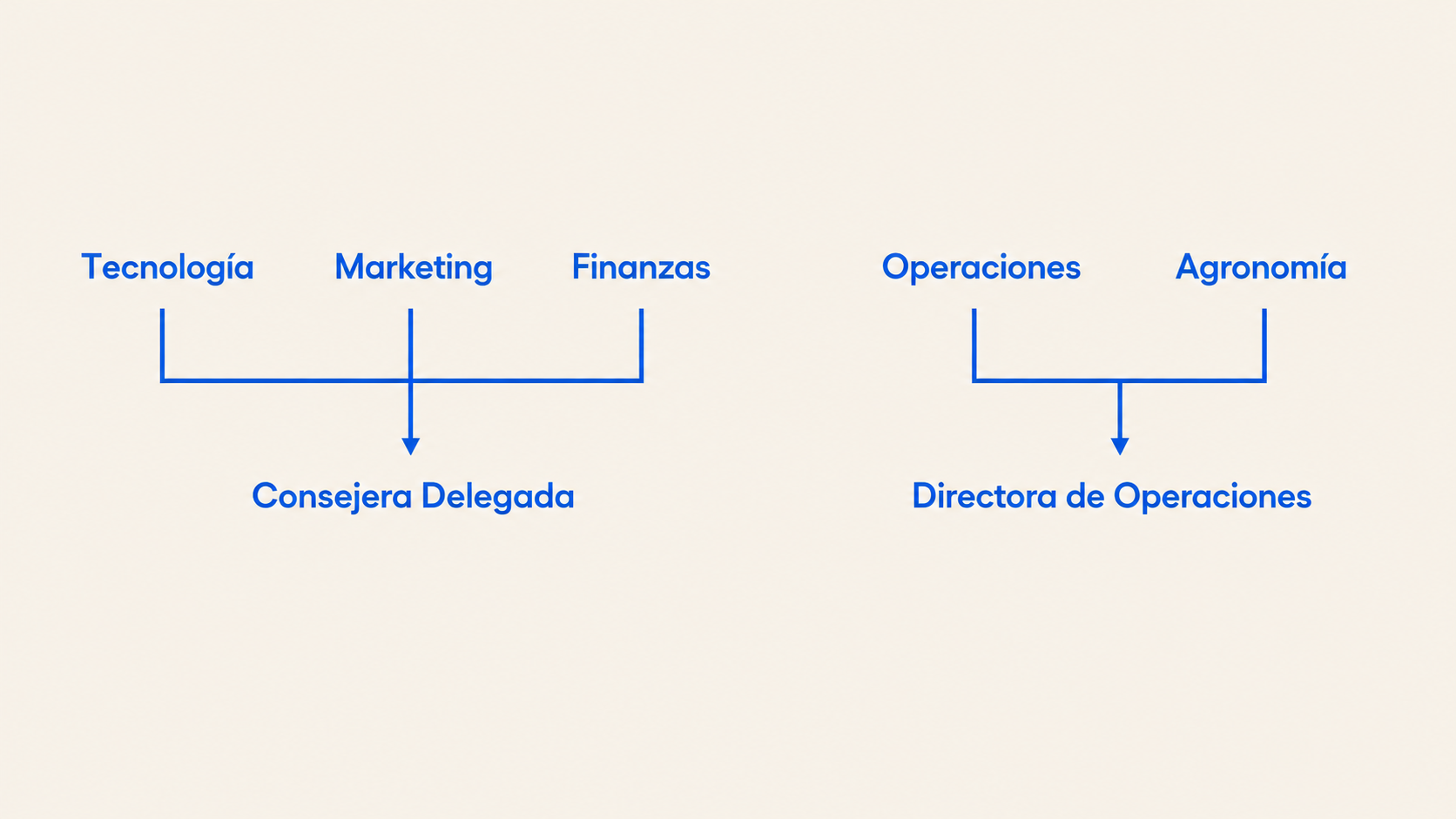 Estructura de equipos interfuncionales