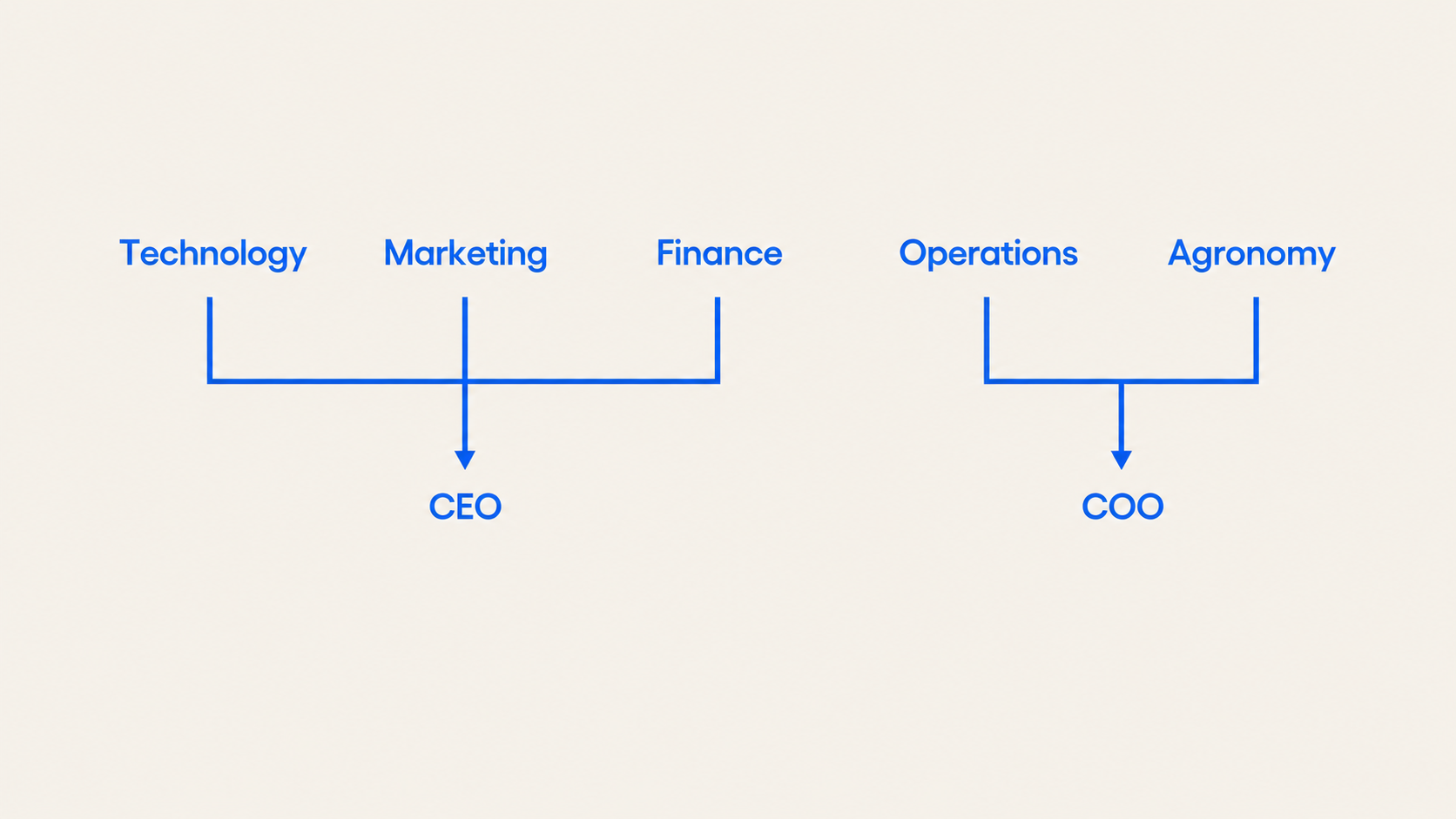 Cross functional team structure