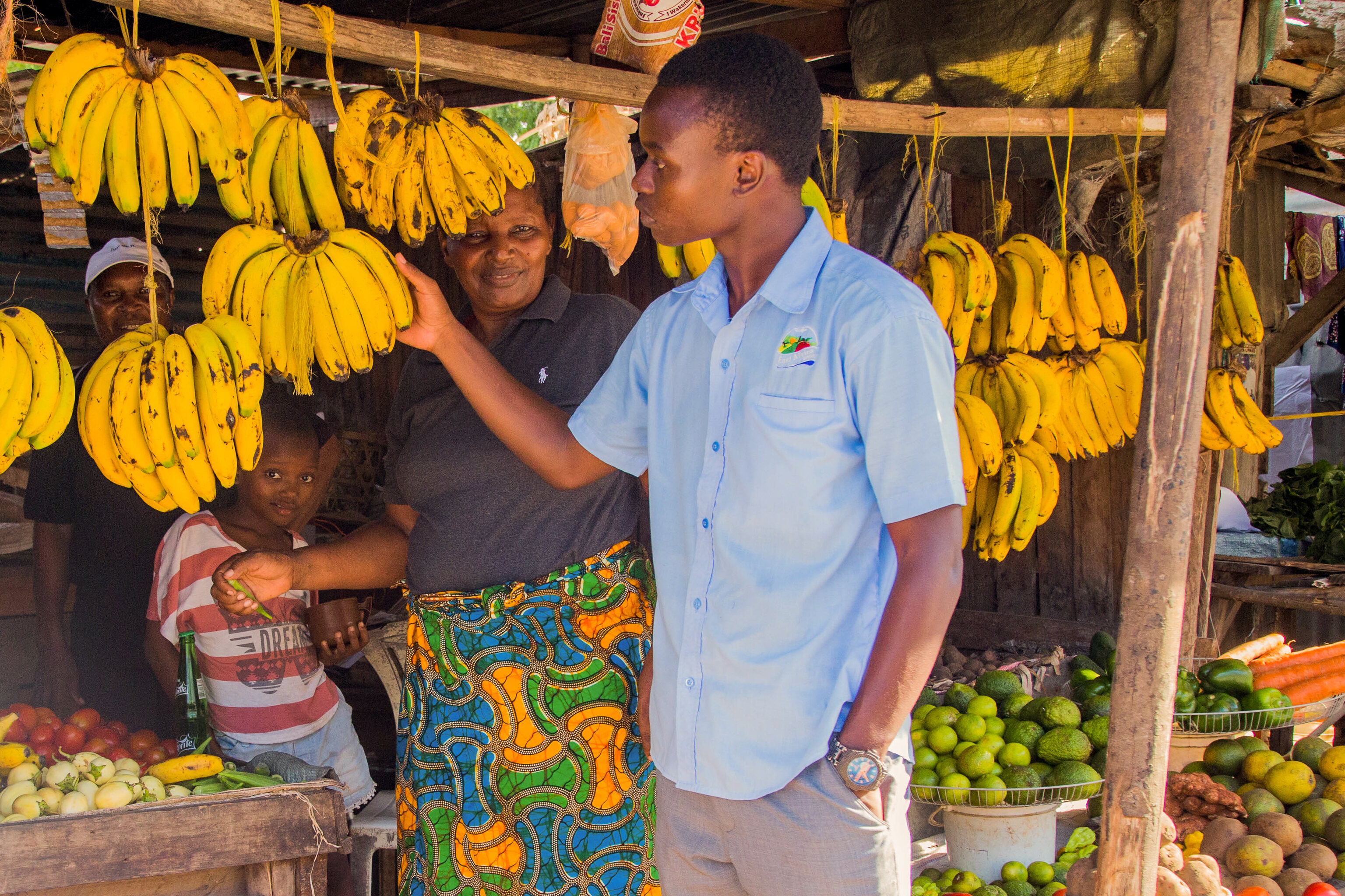 Persona inspeccionando bananos