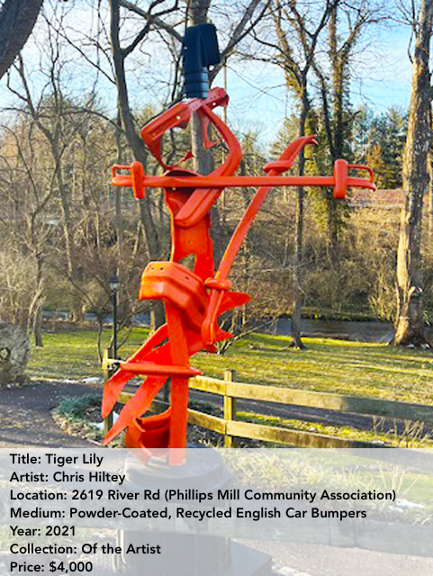 Tiger Lily. Chris Hiltey