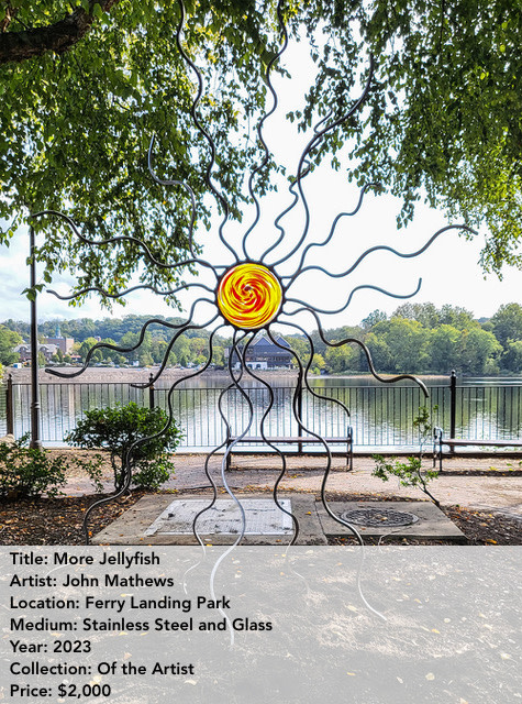 More Jellyfish. John Mathews
