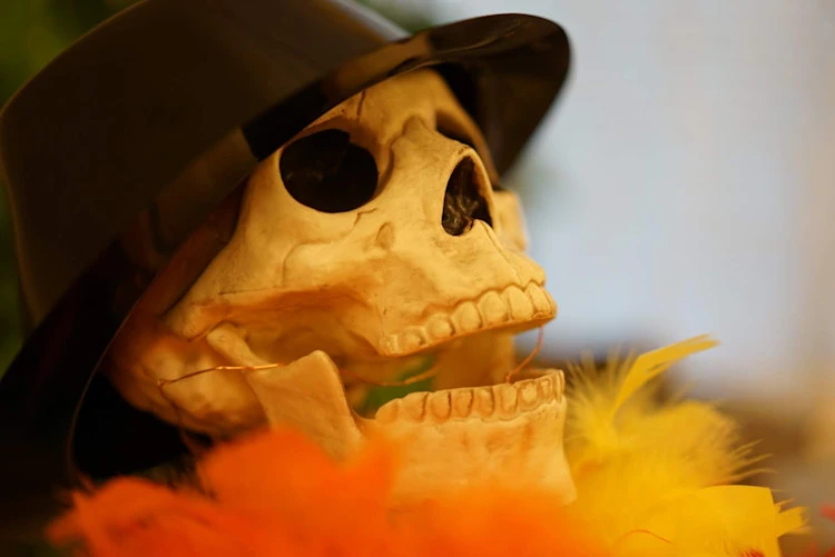 Skeleton