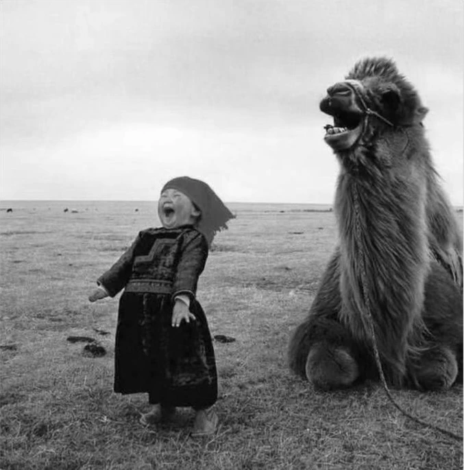 Kid and camel