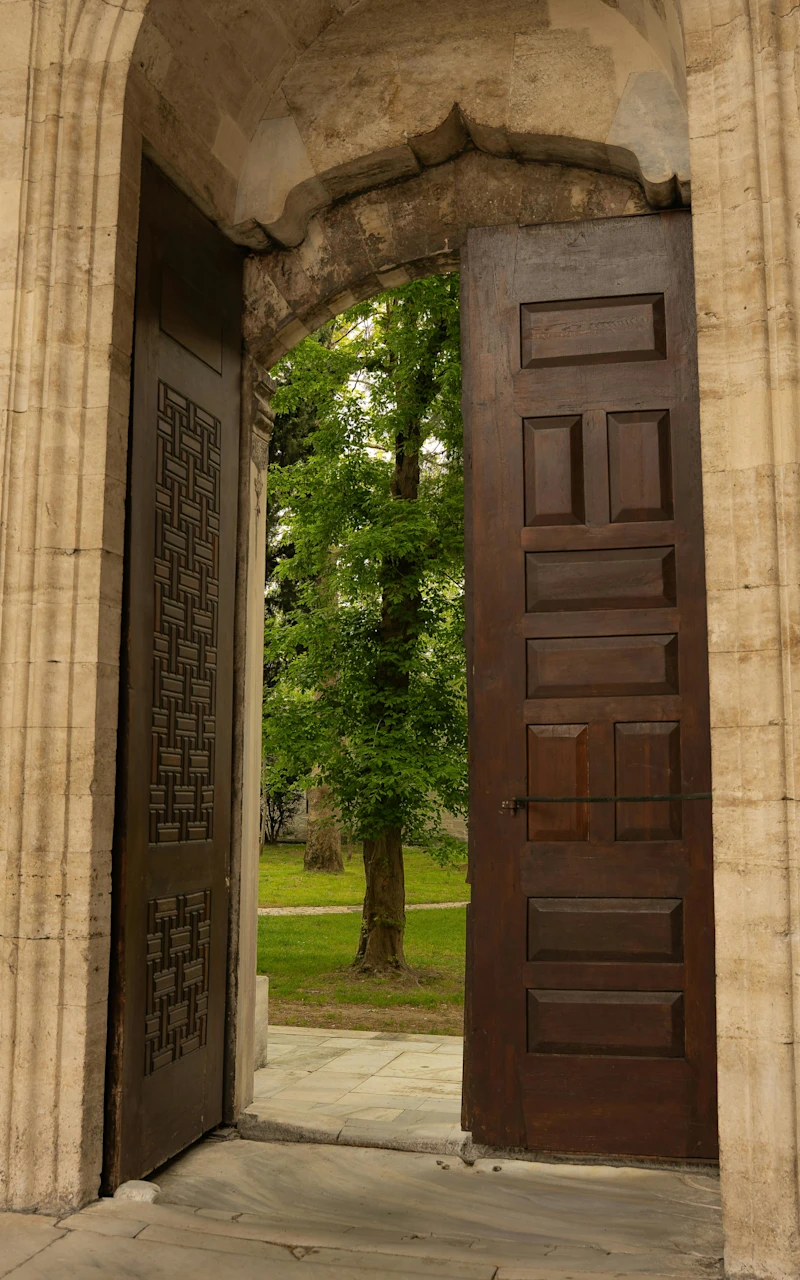 Open door with tree-Cihat Dede
