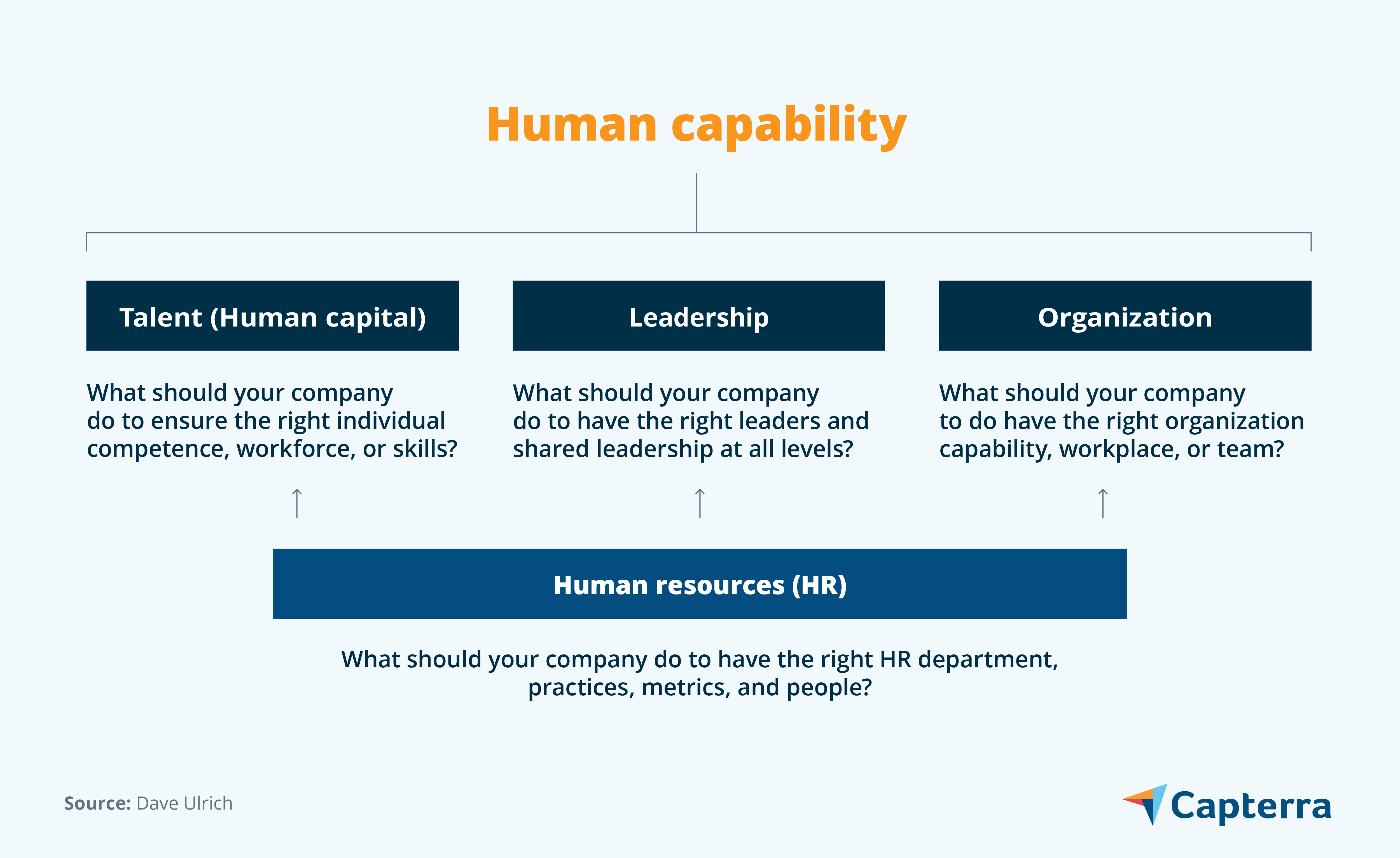 CAP-In-Content-Graphic-Building-Human-Capability-as-the-Future-of-HR-Human-capability-framework-DLVR