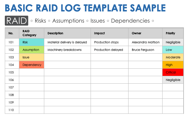 Basic RAID log template sample
