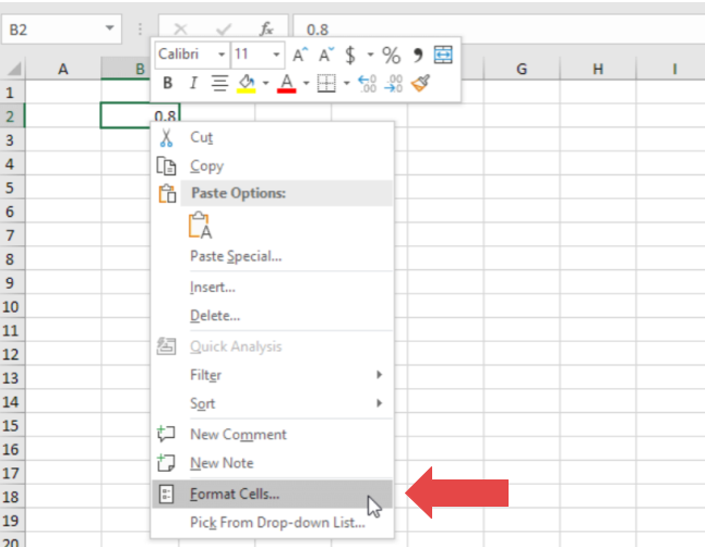 Screenshot of Format Cells in Excel