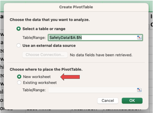 Screenshot of choosing worksheet options in Excel for the blog article "How To Create a Pivot Table in Excel"