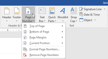 Screenshot of Format Page Numbers option in Word