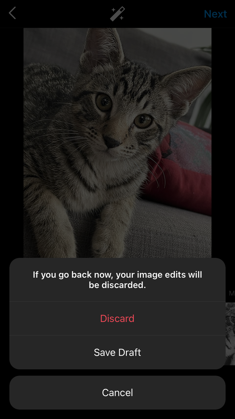 choose-whether-to-discard-your-image-or-save-it-as