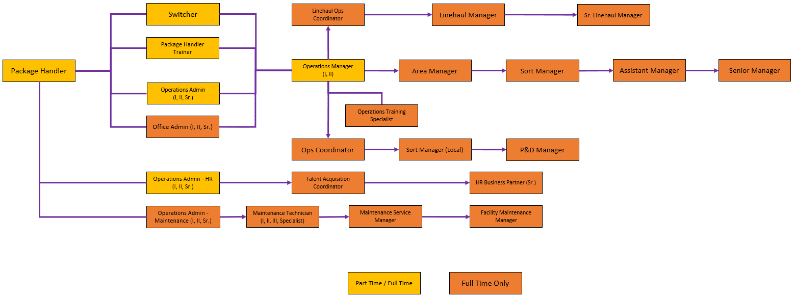 a-career-map-for-a-fedex-employee