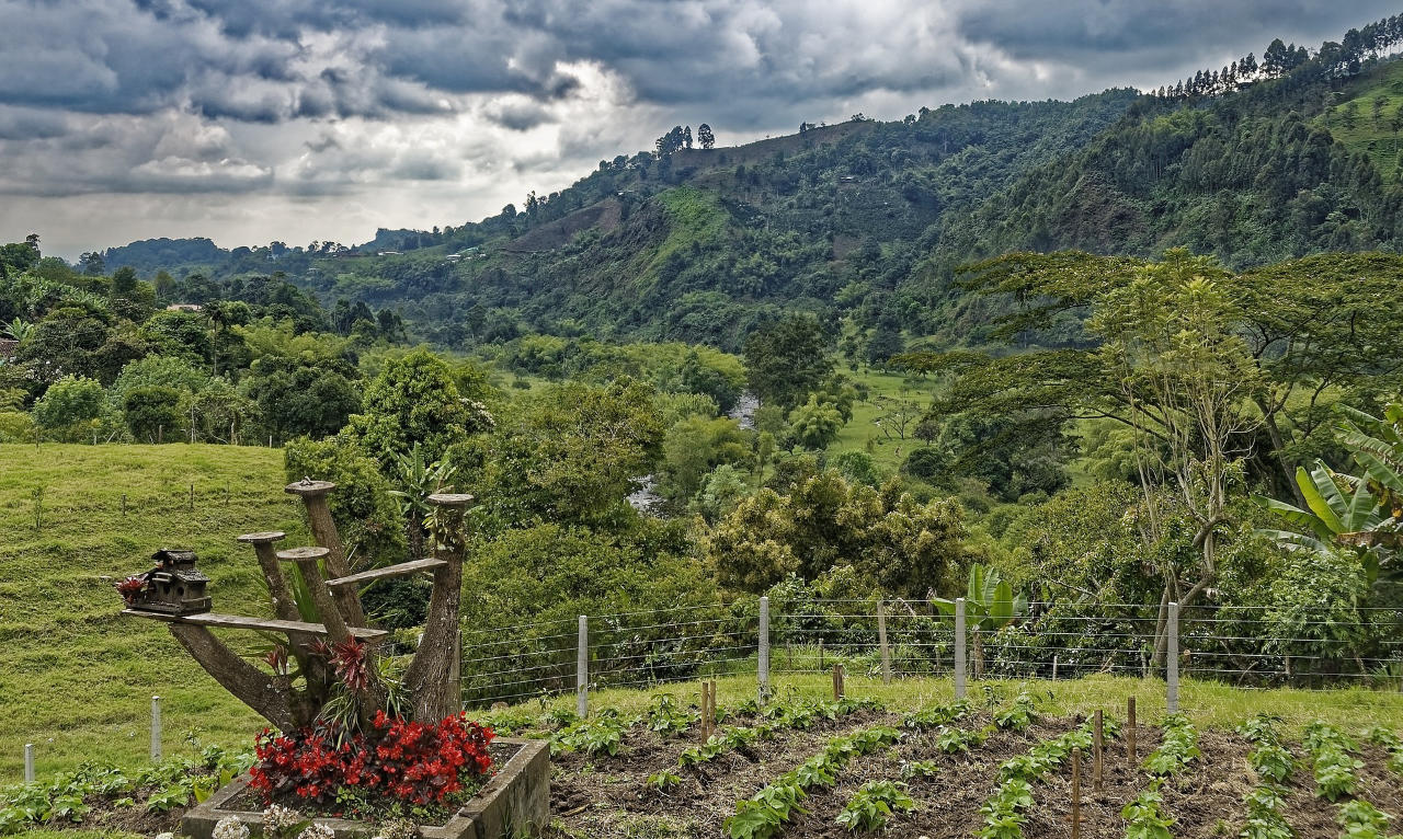 Armenia, Andes Mountains, Coffee Region, Bogotá