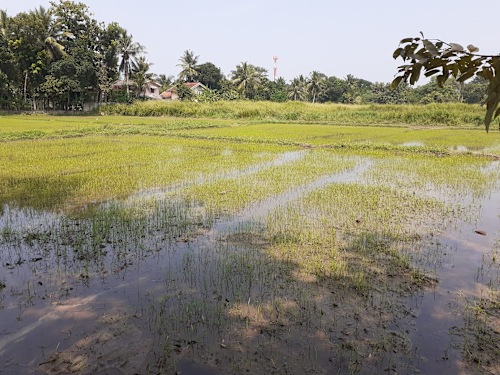 Christhodaya Farm in Kurunegala