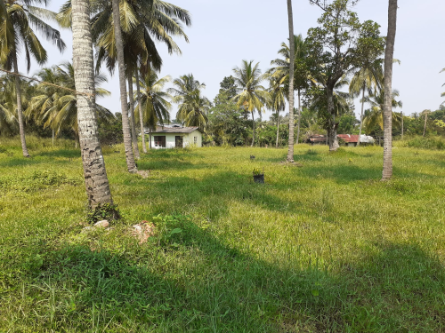 Christhodaya Farm in Kurunegala