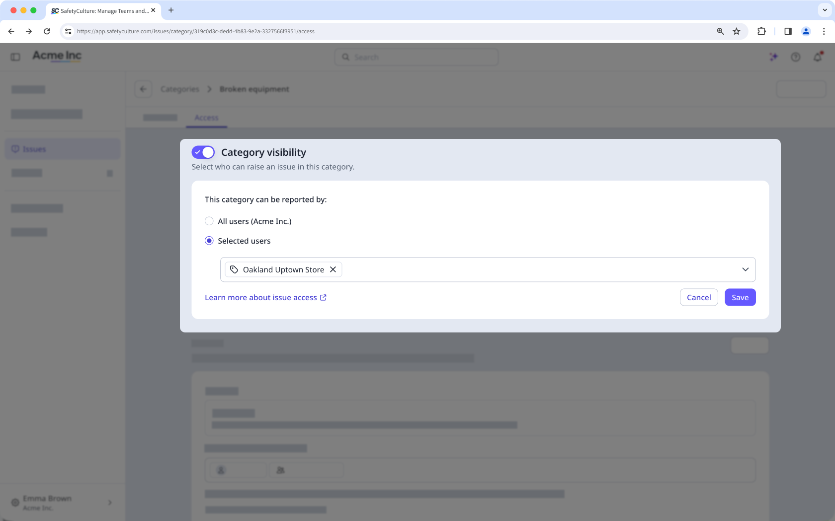 The Issues access page showing the category visibility section.