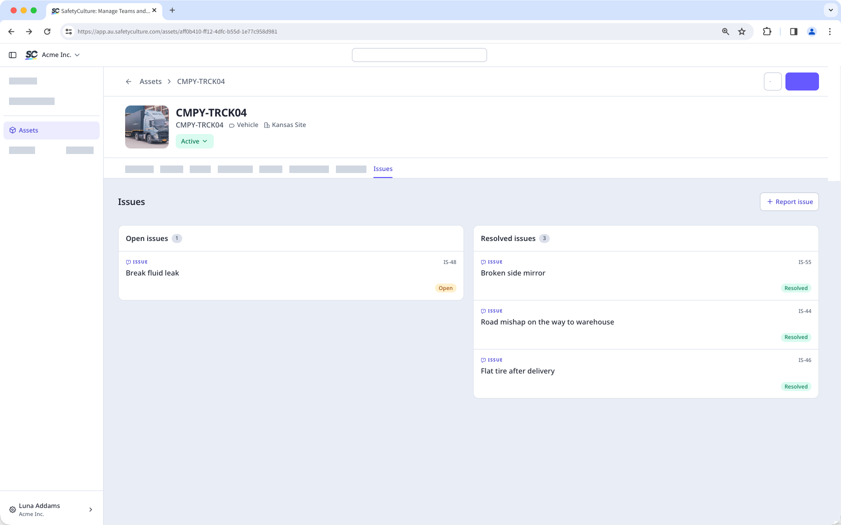 The issues tab on an asset profile page, showing "Open issues" and "Resolved issues."