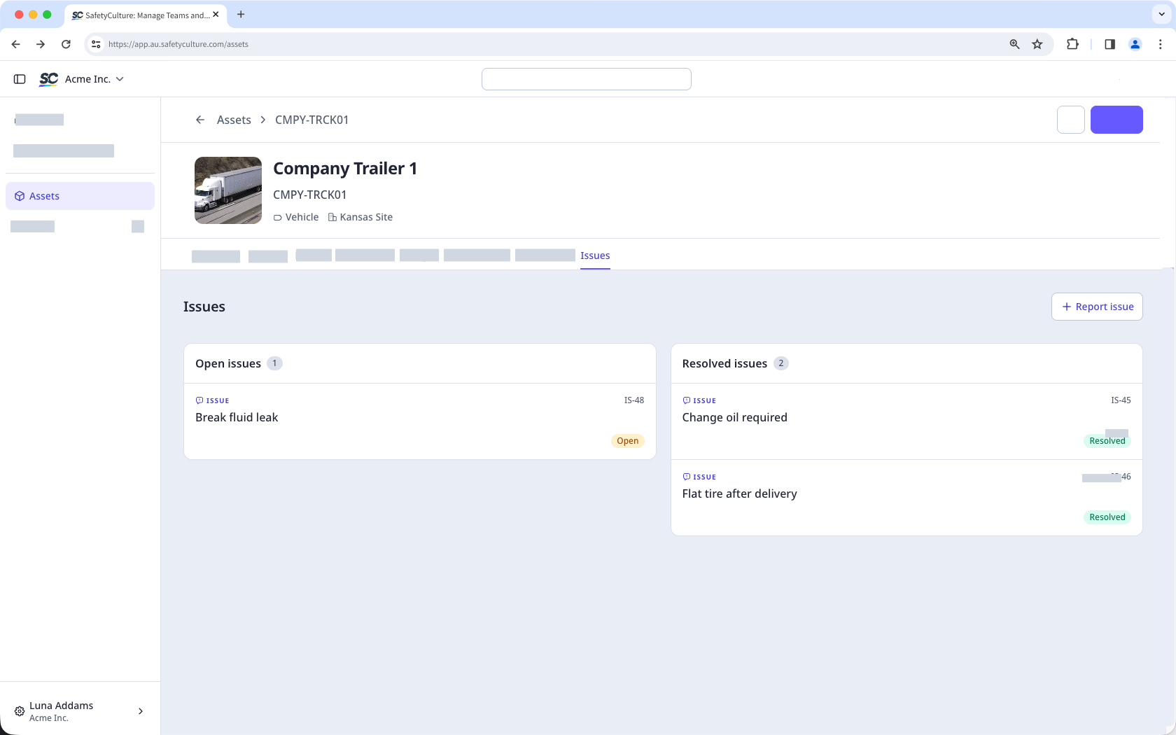The issues tab on an asset profile page, showing "Open issues" and "Resolved issues".