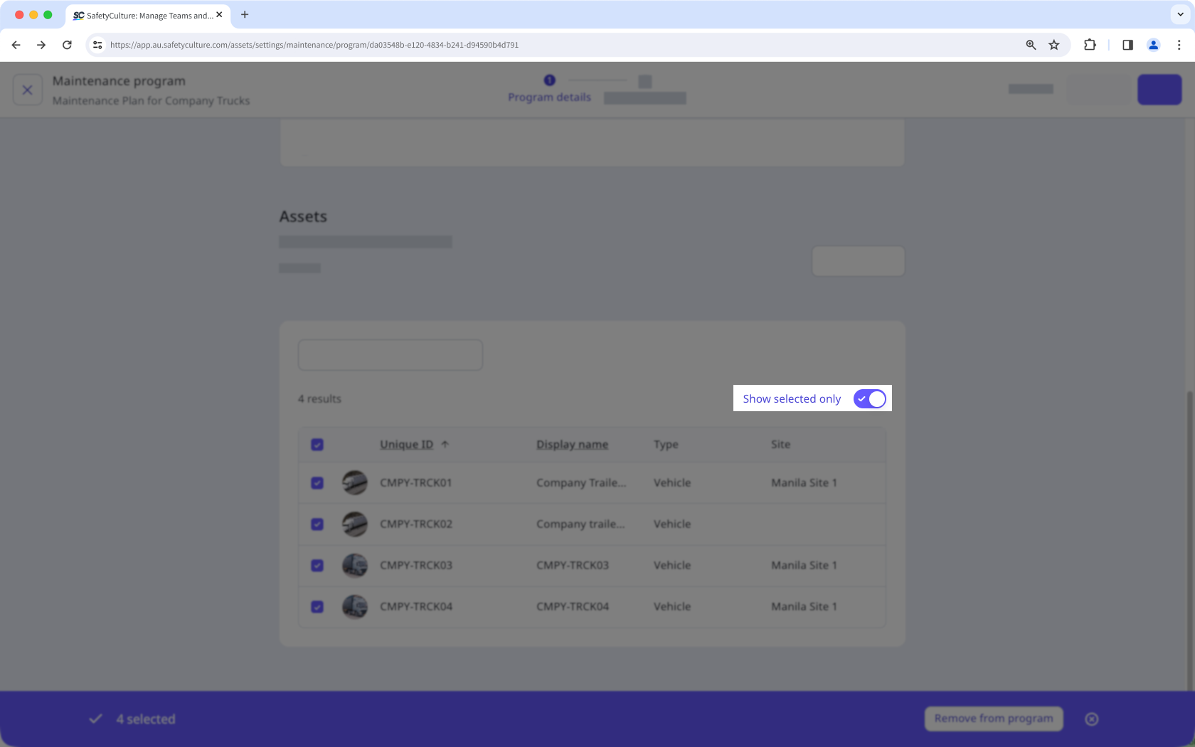 Activar mostrar solo los activos que ha seleccionado a través de la aplicación web en un esquema de mantenimiento.