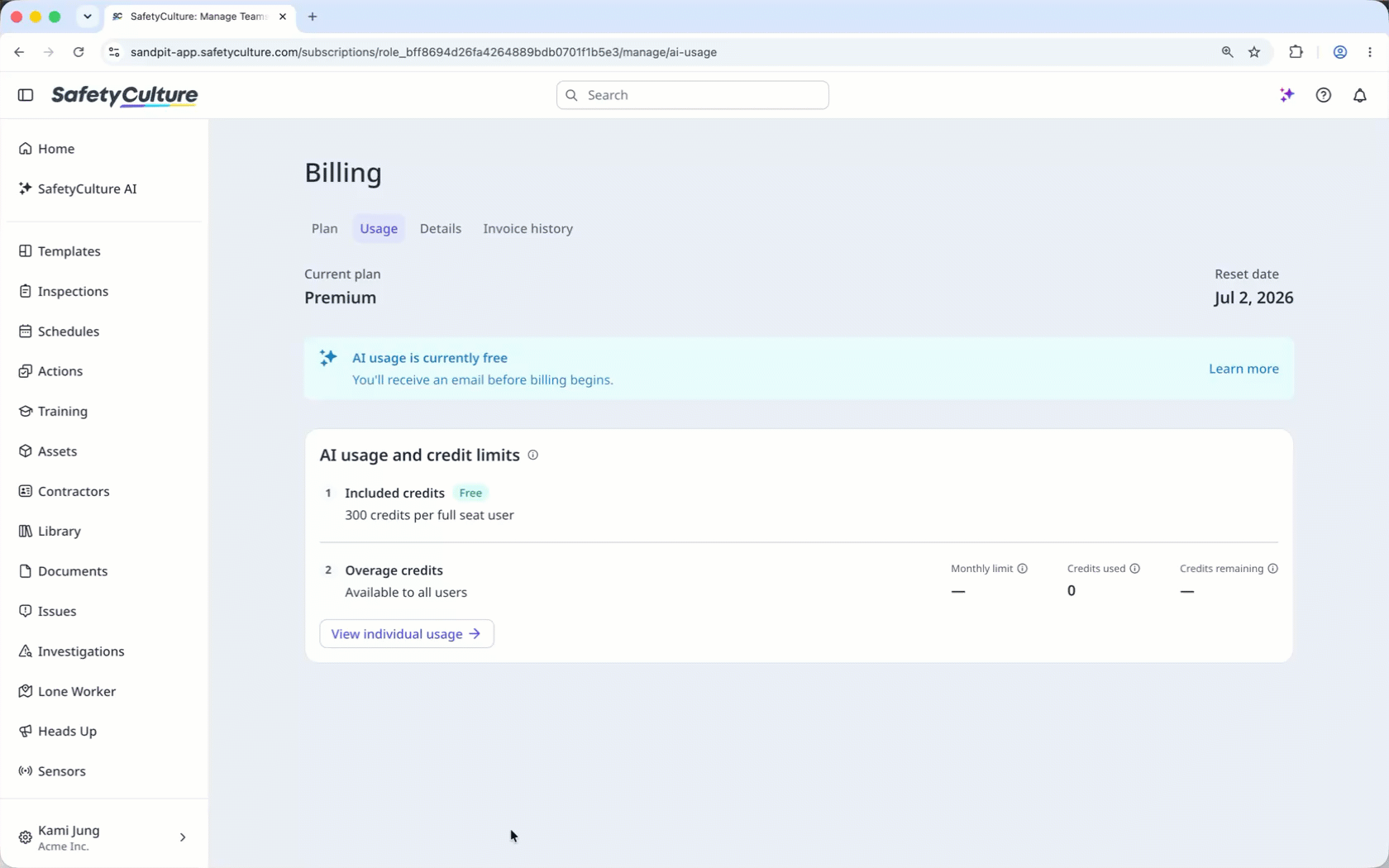 The Individual credit usage page with a list of users and their credit usage in the AI Assistant.