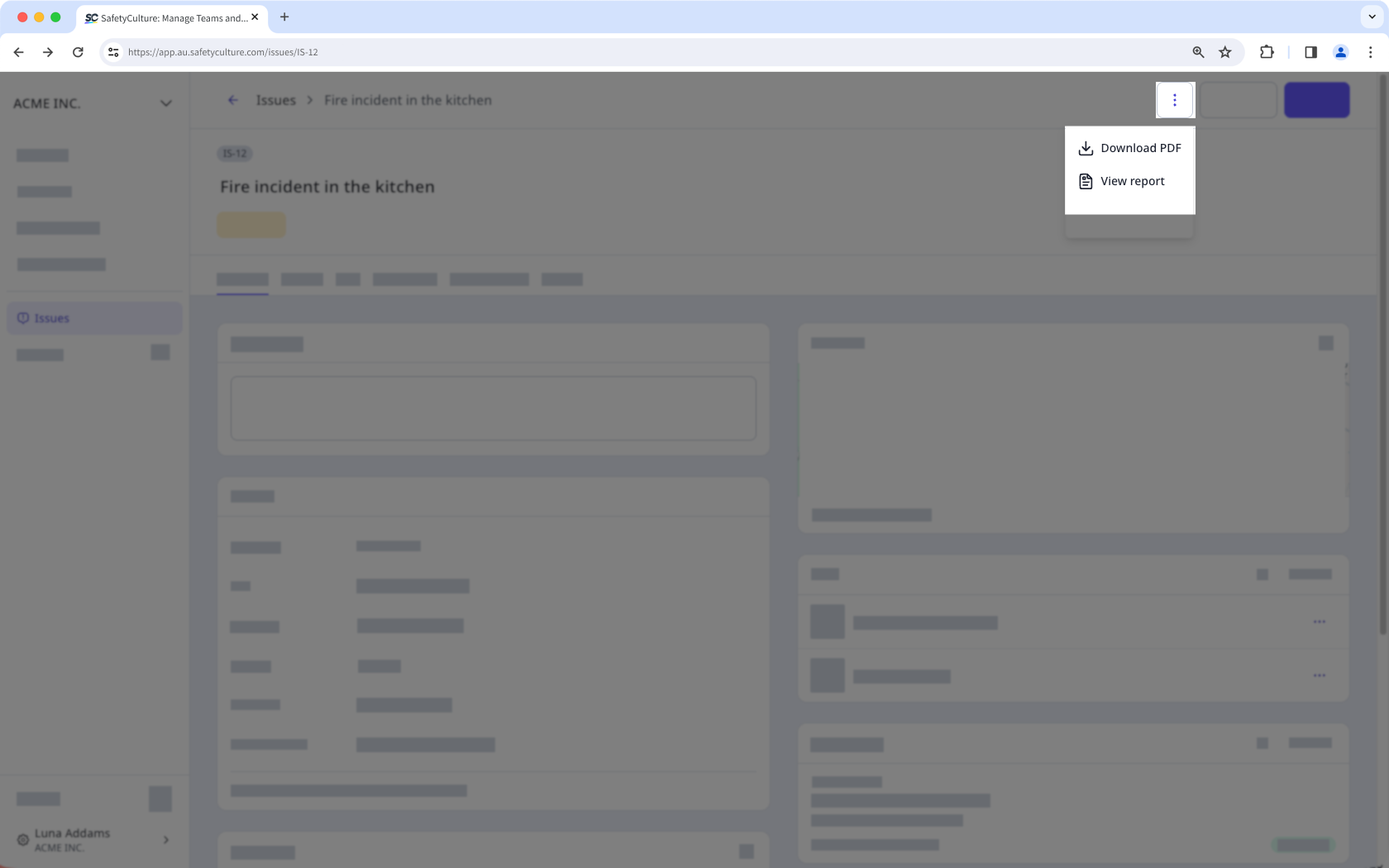 To download or view an issue report, click the three-dot menu, and select download or view.