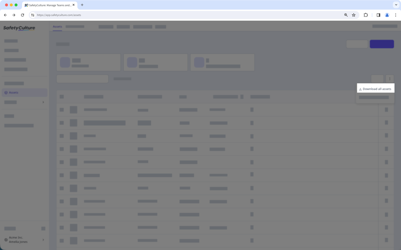 Página de Activos que muestra la opción de descargar todos los activos en CSV.