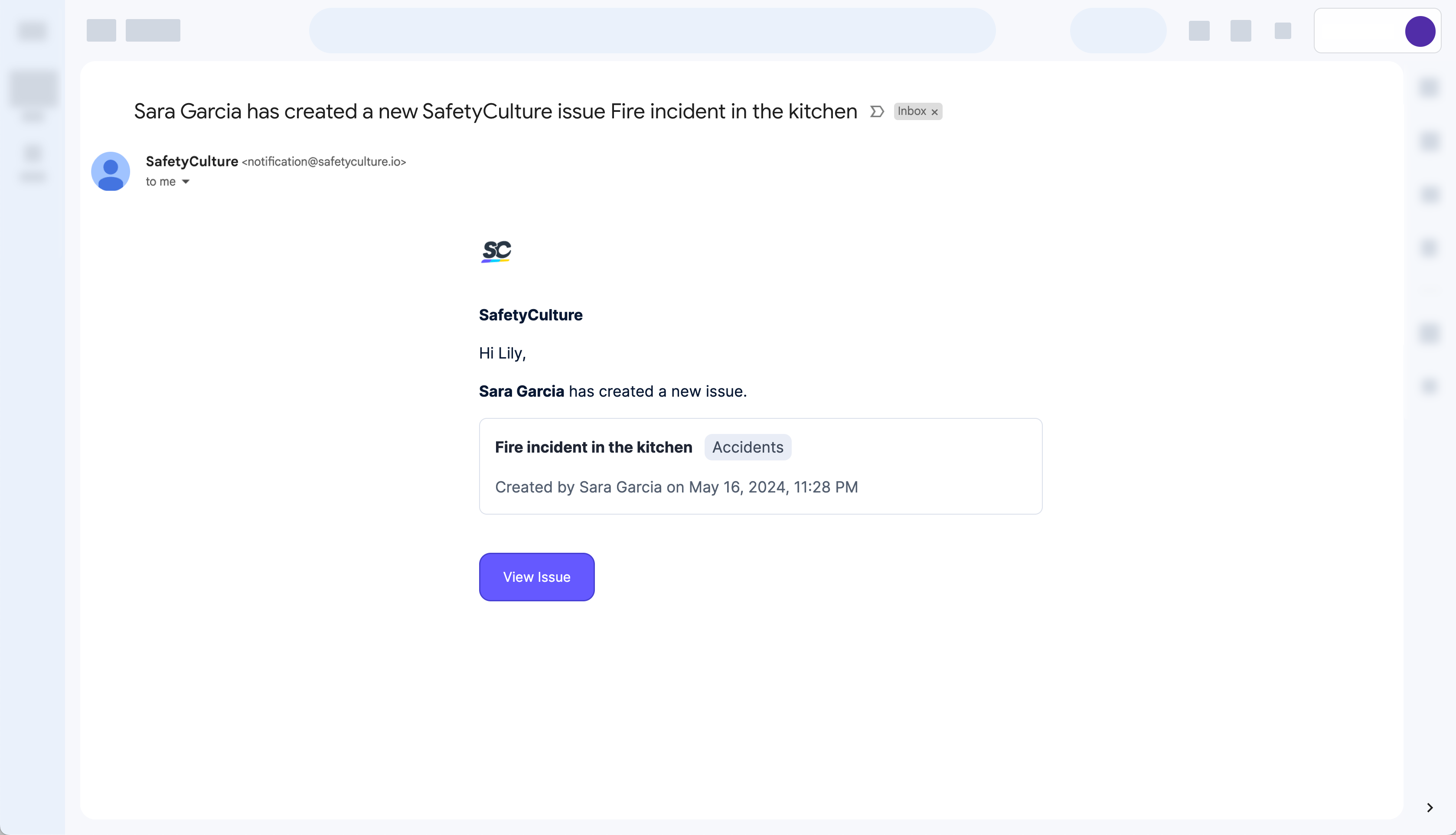 View Private (default) issue email notification sample via the web app.