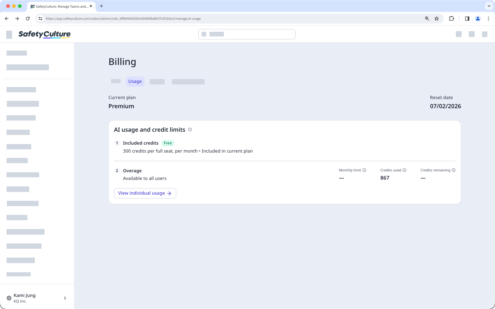 The Usage tab in Billing displaying the organization's credit limits and overage credits used.