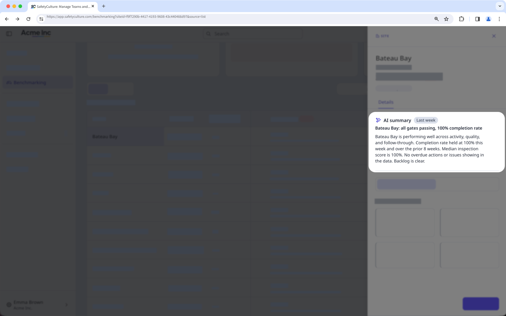 The Overview page showing the AI Summary in the site drill-down side panel.