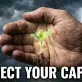 Risk Management Guide: The Art of Capital Preservation