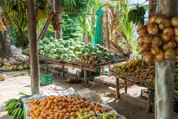 Costa Rica's outdoor markets are filled with fresh fruit and veg grown locally and picked only days before.