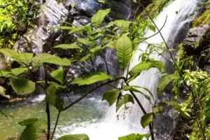 BODY-Recovered-Waterfall-Belize-300x200.jpg