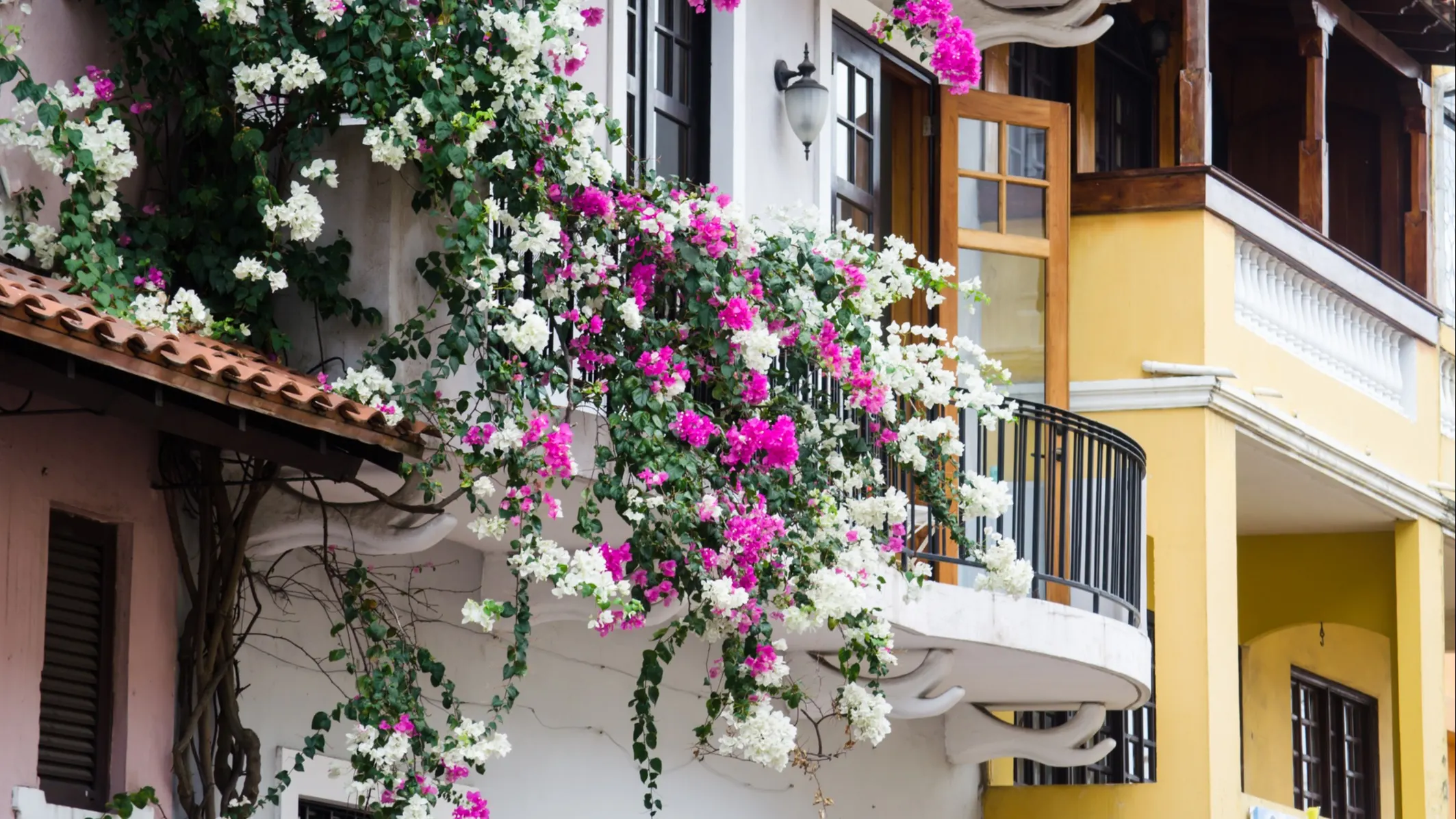 ©iStock/Mabelin Santos