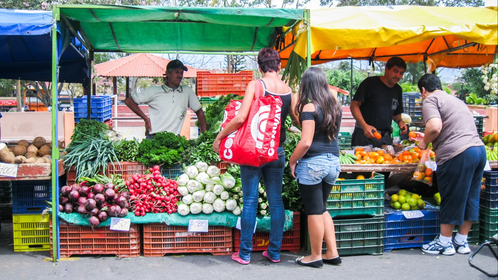 Escazu Feria, Costa Rica