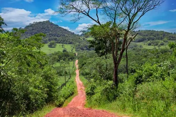 Sue and Ben’s new home is in Panama’s mountainous El Valle region, considered one of the most beautiful in the country.