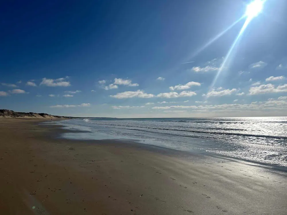 The vast expanse of wild, sandy beaches along the Atlantic Vendéen coastline.