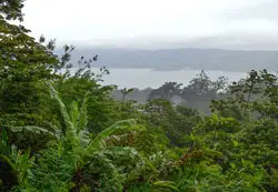 If you’re looking for great weather, a close-knit community, and an affordable cost of living…Lake Arenal has it all.