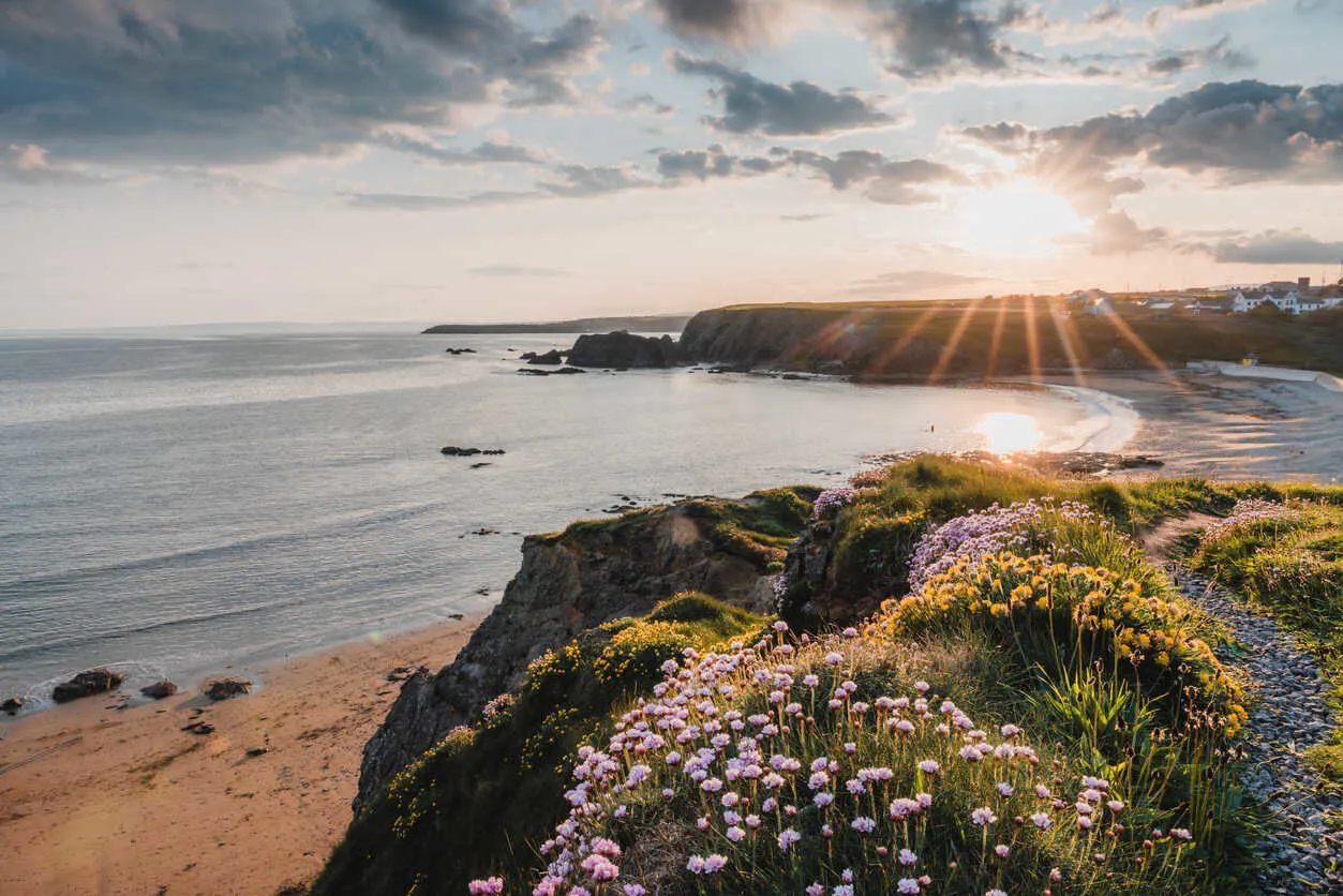 Waterford’s coast comes alive in summer with beaches, pubs, and sea air.