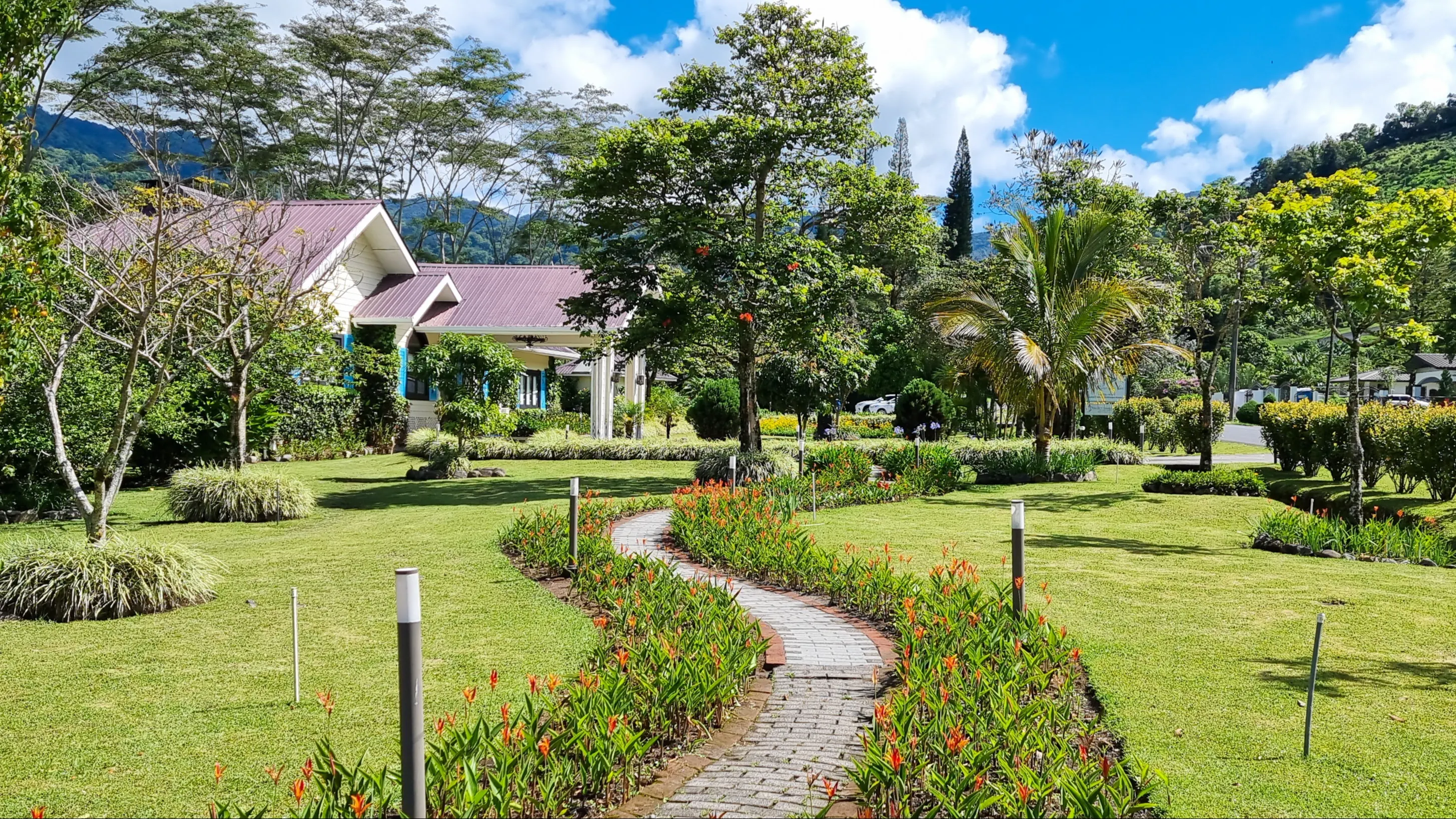 ©iStock/Markpittimages