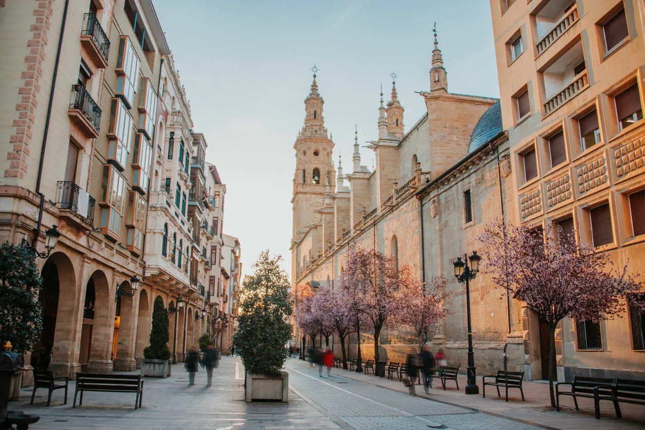 A picturesque street in Logroño, the capital of Spain's La Rioja region. 