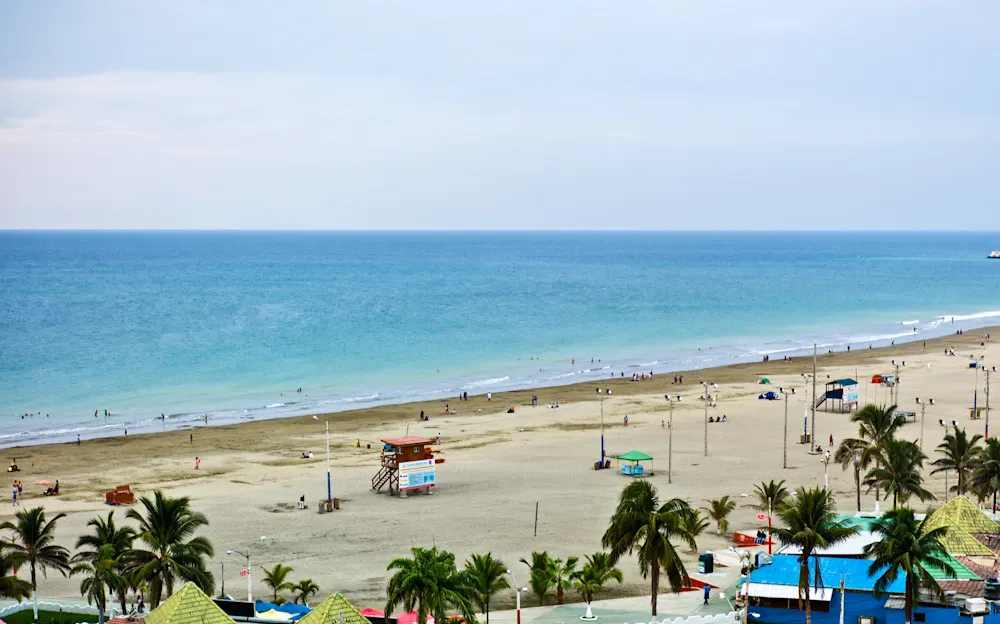 Manta is a busy port city with city comforts and a growing expat scene.