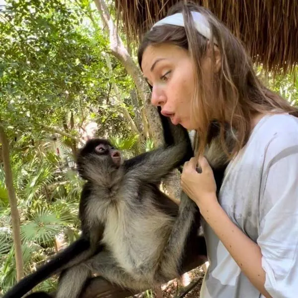 Alfreda the spider monkey (left) swings her way into everyone’s hearts as she roams the jungle and restaurants on Calle 38.