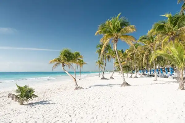 Tulum's beaches are the epitome of postcard-perfect, with white sands, azure waters, and swaying palm trees.