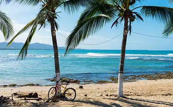 ©iStock/Damocean