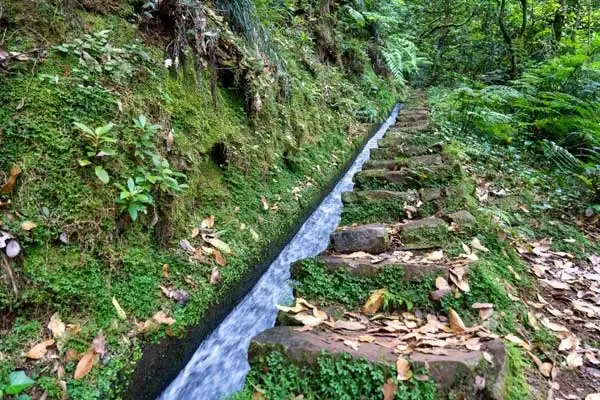 One of Madeira’s levadas. ©iStock/makaule